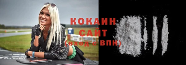 стафф Няндома