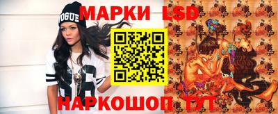 гашик Можга