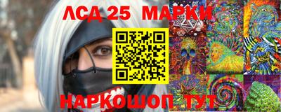 гашик Можга