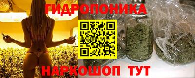 гашик Можга