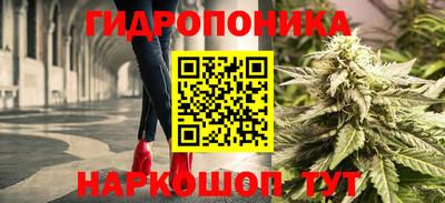 гашик Можга