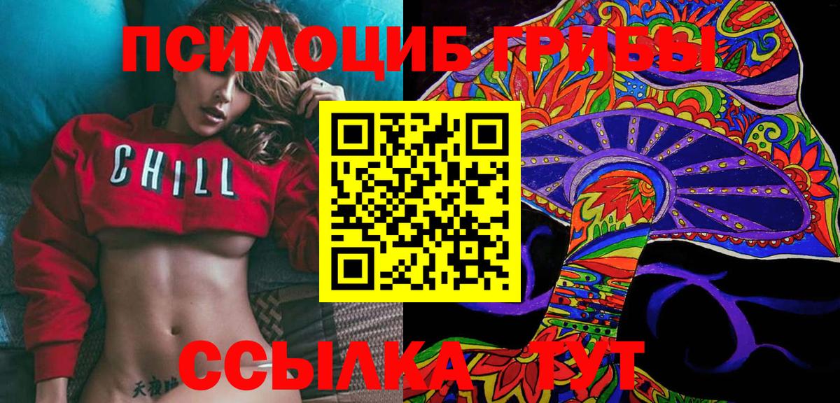 Псилоцибиновые грибы Psilocybine cubensis  Вход с VPN  Великий Новгород 